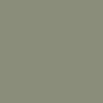 Pumpkin Seed