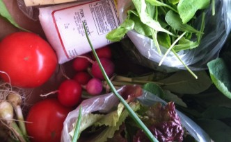 Bounty Box